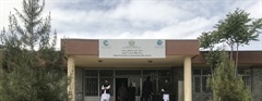 Plant Protection and Quarantine Directorate